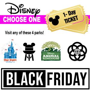 Disney's 1 Day ANY PARK Admission