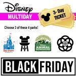 Disney World 3 Day Ticket