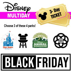 Disney World 3 Day Ticket