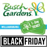 Busch Gardens Williamsburg One Day Ticket