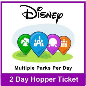 2 Day Hopper Ticket - Disney Florida